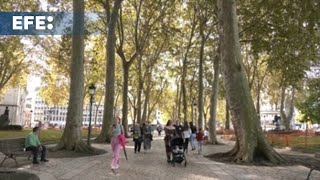 Llega el otoño más deseado tras un verano muy caluroso