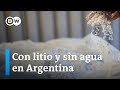 Extracción de litio seca una vega del acuífero trapiche en el norte de Argentina