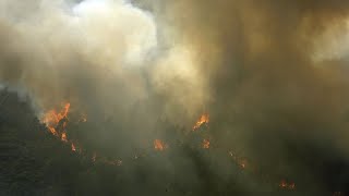 Hunderte bei Beerdigung dreier Feuerwehrleute in Portugal