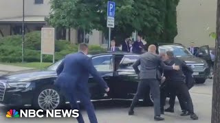 Slovakia&#39;s prime minister shot and critically injured