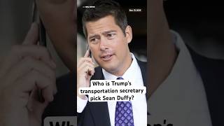 Who is Trump&#39;s transportation secretary pick Sean Duffy?