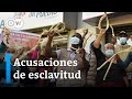 Ecuador: esperan sentencia en demanda por esclavitud contra empresa japonesa