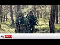 Ukraine War: Sweden strengthens military muscle