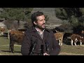 Pablo Casado visita una explotación de ganado extensivo en Las Navas del Marqués