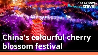 CHERRY SE [CBOE] China welcomes cherry blossom season with dazzling firework display