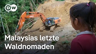 Die indigenen Penan kämpfen gegen Abholzung | DW Nachrichten