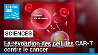 Reprogrammer les cellules immunitaires : la révolution des cellules CAR-T contre le cancer