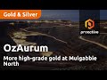 OzAurum Resources welcomes more high-grade gold at Mulgabbie North