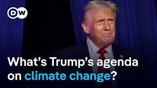 How could the incoming Trump administration impact efforts to reduce climate change? | DW News