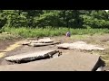 Tsunamiwarnung nach Erdbeben vor südlichen Philippinen