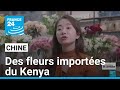 PROVINCE RESOURCES LTD - Chine-Afrique : dans la province du Hunan, des fleurs importées du Kenya • FRANCE 24