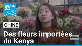 PROVINCE RESOURCES LTD Chine-Afrique : dans la province du Hunan, des fleurs importées du Kenya • FRANCE 24