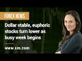 Forex News: 30/01/2023 - Dollar stable, euphoric stocks turn lower as busy week begins