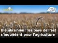Le blé ukrainien, pomme de discorde : les pays de l'est s'inquiètent pour leur agriculture