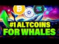 Why Are Crypto Whales After THIS Altcoin? BTC ADA SOL SUI