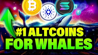 Why Are Crypto Whales After THIS Altcoin? BTC ADA SOL SUI