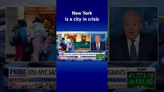 Varney: Alvin Bragg is turning criminals loose in NYC #shorts