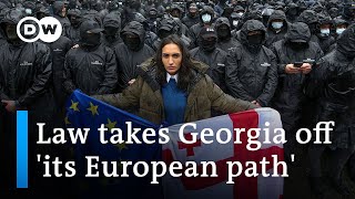 Georgian President promises to veto &#39;foreign influence&#39; law as large-scale protests continue