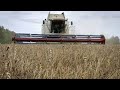 Ucraina, Polonia e Romania autorizzano l'importazione del grano