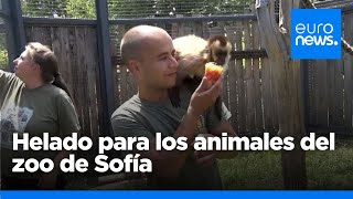 Helado para los animales del zoo de Sofía ante la ola de calor