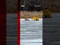 Firefighters in Minnesota, US crawled across a frozen lake to rescue a stuck deer.#Deer #US #BBCNews