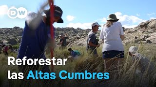 Acción Serrana planta tabaquillos en las Sierras de Córdoba