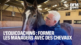 L&#39;equicoaching : former les managers avec des chevaux