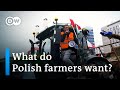 Polish farmers take to the streets over Ukrainian imports | Focus on Europe
