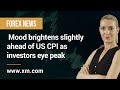 Forex News: 11/05/2022 - Mood brightens slightly ahead of US CPI as investors eye peak