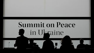 Nuclear safety, food security on agenda for second day of Ukraine peace summit