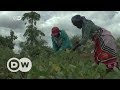 Drought and corruption fuel corn crisis in Kenya | DW English