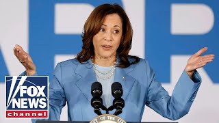 Dem strategist calls out Kamala for doing a ‘terrible job’ on political messaging