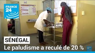 Paludisme au Sénégal : recul de 20 % de la maladie • FRANCE 24