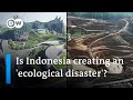 Critics warn Indonesia's new capital Nusantara could become an ecological disaster | DW News