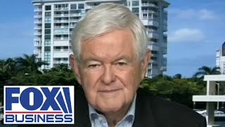 Newt Gingrich: Retirees will have less money thanks to Biden