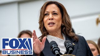 Kamala Harris needs to grow up and do her job, or step aside: GOP lawmaker