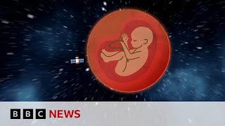 SPACE Could we have babies in space? | BBC Ideas