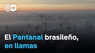 Brasil: múltiples incendios asolan uno de los mayores humedales tropicales del mundo