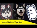 UConn’s Mascot History: From ‘Sad Husky’ to Top Dog