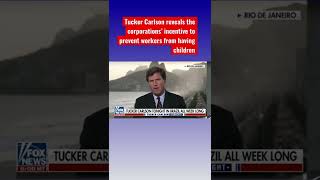 Tucker Carlson: Corporate America wants you childless #shorts