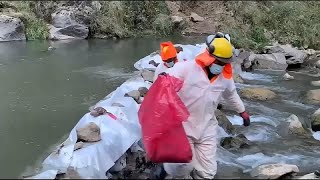 ZINC Perú | Toneladas de zinc vertidas en un río de Lima matan a miles de peces