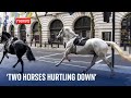 'Two horses started hurtling down the road' - Witness speaks to Sky News