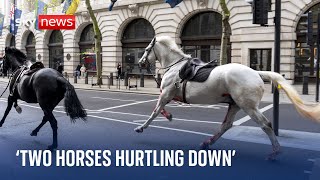 &#39;Two horses started hurtling down the road&#39; - Witness speaks to Sky News