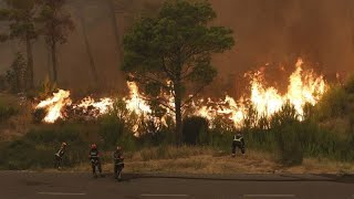 Trockenheit und Hitze: Waldbrände in Albanien und Kroatien greifen um sich
