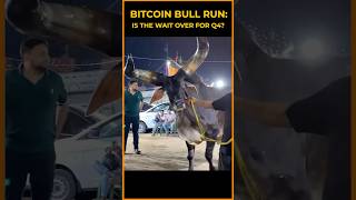 BITCOIN Is the Wait OVER For the Bitcoin Bull Run!? #shorts