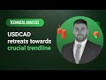 USD/CAD - Technical Analysis: 09/02/2024 - USDCAD retreats towards crucial trendline