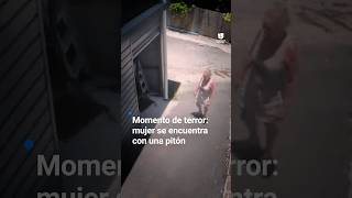 Momento de terror: mujer se encuentra con una pitón