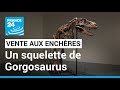 TREX COMPANY INC. - Le squelette d’un dinosaure cousin du T-rex bientôt vendu aux enchères • FRANCE 24