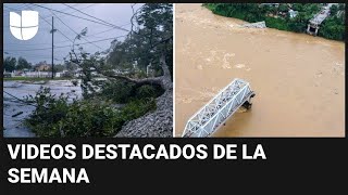 Huracán Francine azota Louisiana y puente colapsa con varios autos: videos destacados de la semana