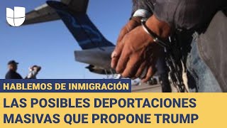 Hablemos de Inmigración: Análisis sobre las posibles deportaciones masivas propuestas por Trump